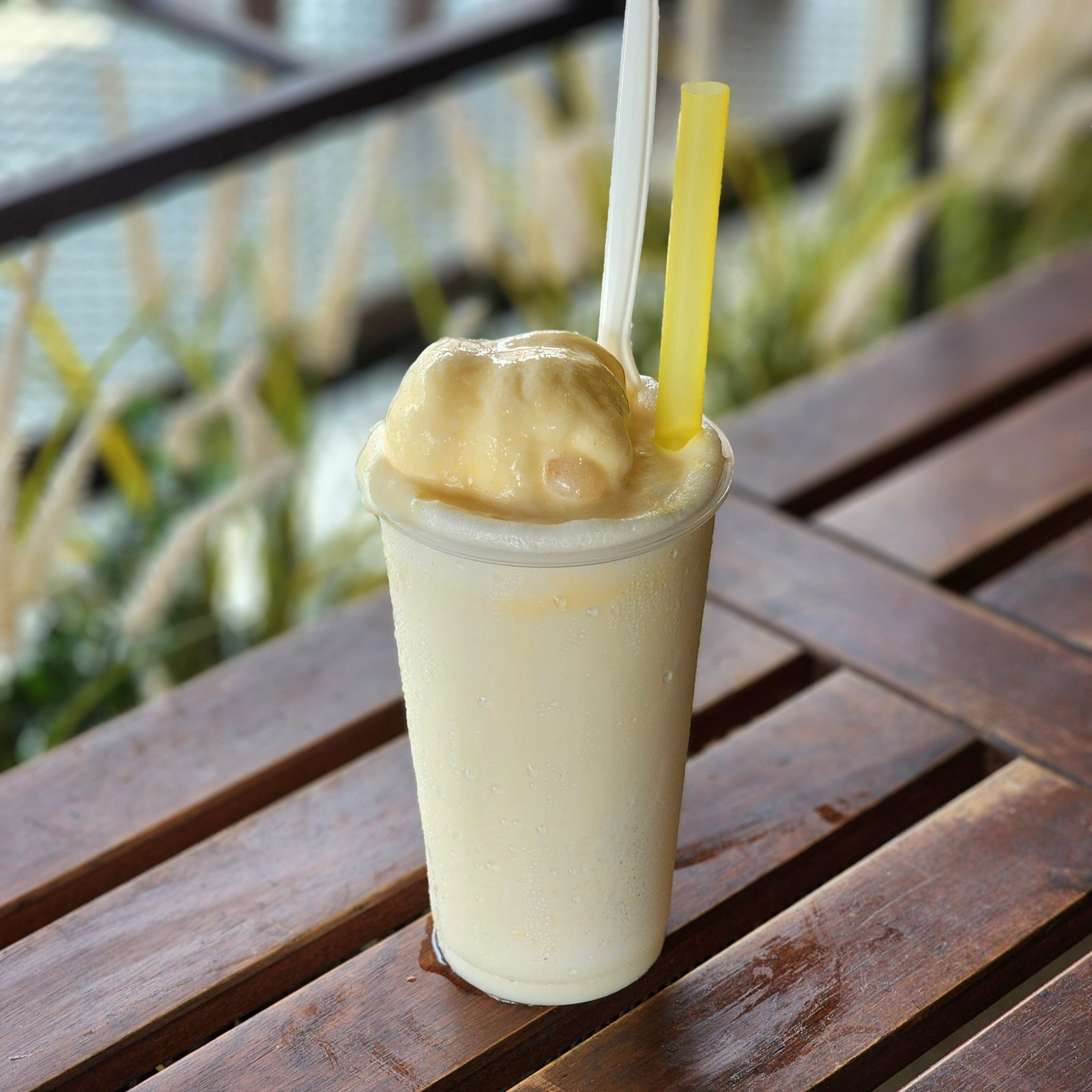 Coconut Shake